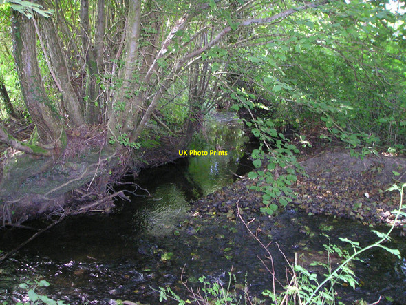 Photo 6"x4" Stream at Y Ddyryd Bancyfelin c2010