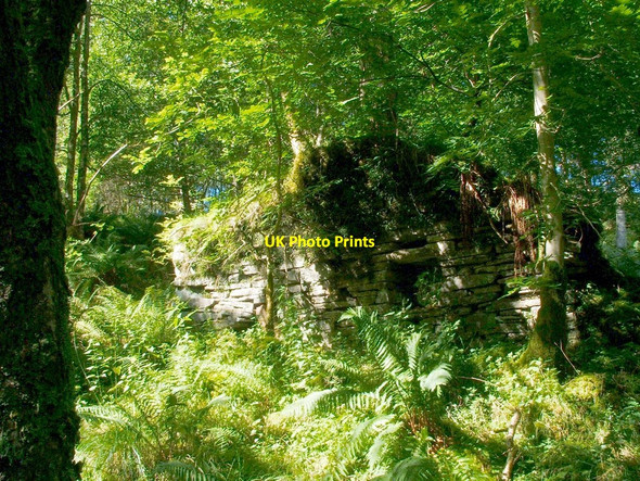 Photo 6"x4" Ruin beside the Carnock Burn Craighat c2010