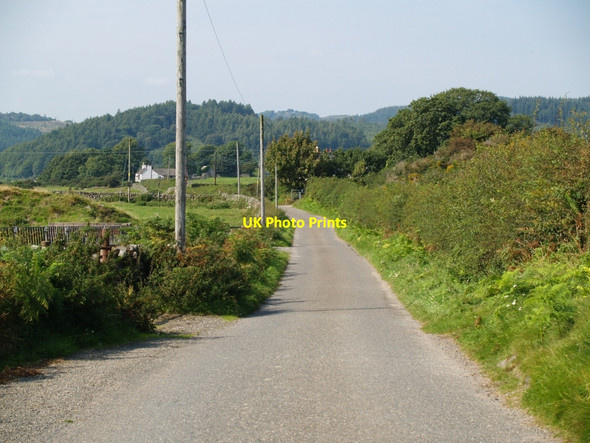 Photo 6"x4" Roadway towards Redliggate Palnackie c2010