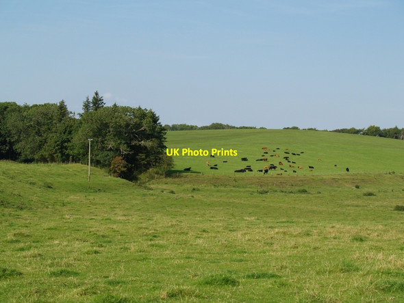 Photo 6"x4" White Hill, Craigton Castle Douglas c2010