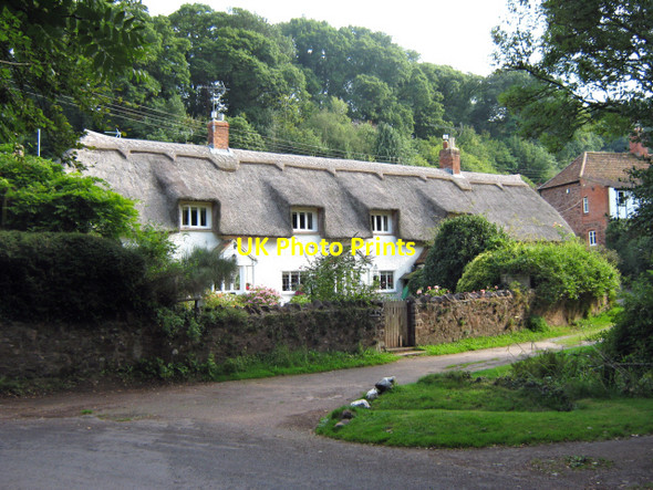 Photo 6"x4" Holford Combe and Woodlands Hill Holford c2010