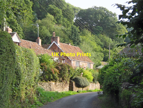 Photo 6"x4" Holford Combe and Woodlands Hill Holford c2010 P1