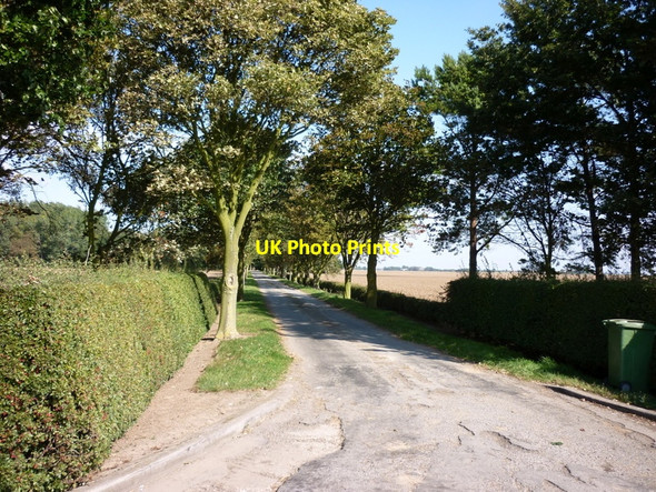 Photo 6"x4" The way to Shrubbery Farm, Sunk Island Sunk Island c2010