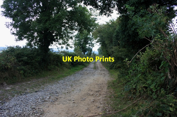 Photo 6"x4" Farm Road The Rower c2010