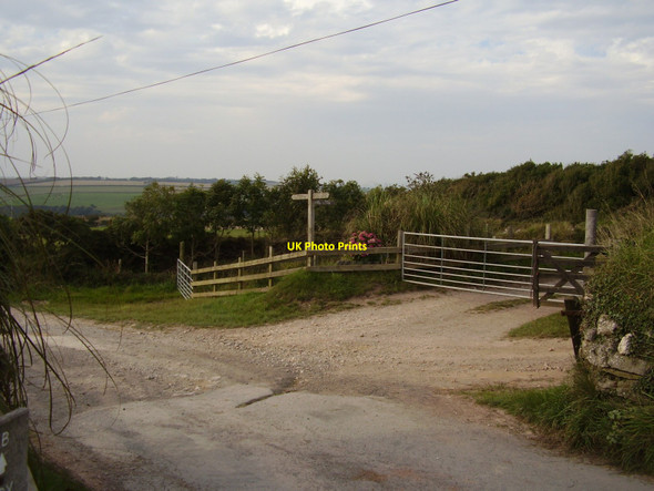 Photo 6"x4" Footpath at Worswell Barton Noss Mayo c2010