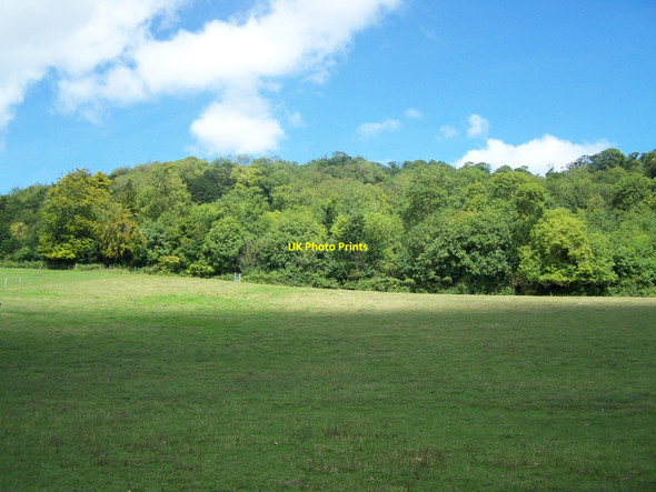 Photo 6"x4" North Downs Near Boxley Boxley c2010