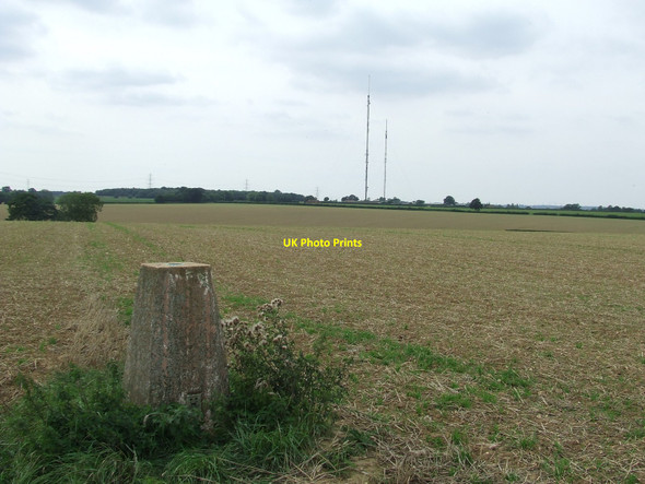 Photo 6"x4" Trig point Assington c2010