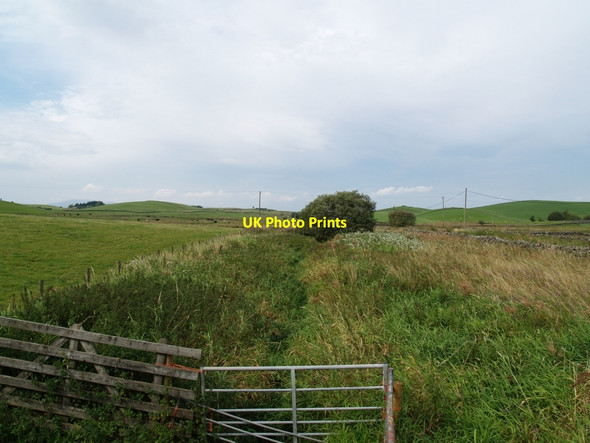 Photo 6"x4" Martinston Burn towards Martinston Moor Balmaclellan c2010