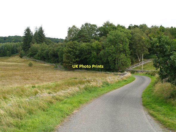 Photo 6"x4" Winding road towards Holmhead Dullarg Burn c2010