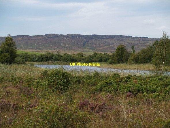 Photo 6"x4" Lowes Lochs - Eastern Loch Lowes Lochs c2010