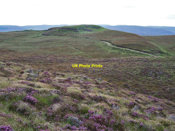 Photo 6"x4" Heather moorland Suledale c2010