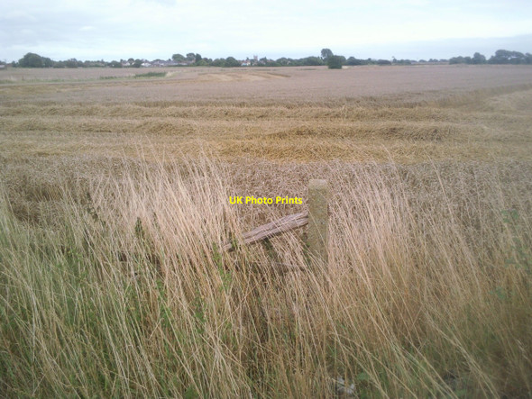 Photo 6"x4" Farmland on the outskirts of New Romney New Romney c2010