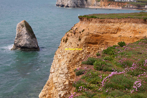 Photo 6"x4" Stag Rock in Freshwater Bay Freshwater Bay\/SZ3485 c2010