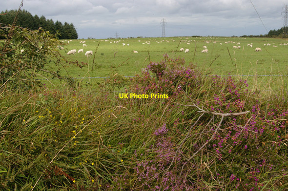 Photo 6"x4" Fields and pylon line at the head of the Bargoed valley Rh\u00f4s\/SN3835 c2010
