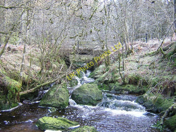 Photo 6"x4" Castle Burn, Loch Ard Forest Altskeith c2006
