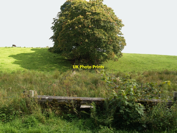 Photo 6"x4" Stile and overgrown path to monument Corsock\/NX7576 c2010