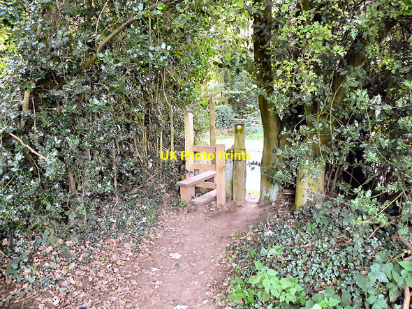 Photo 6"x4" Footpath and Stile, Peckforton Peckforton c2010