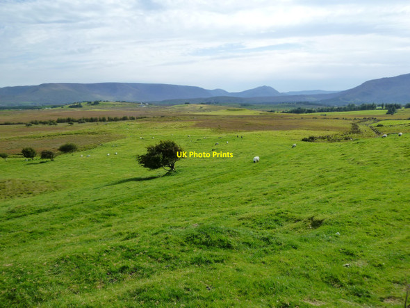 Photo 6"x4" Fertile grazing land near Carrowkennedy Liscarney c2010
