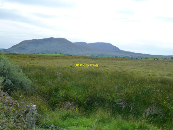 Photo 6"x4" Fertile grassland, looking towards the Sheeffry Hills Drummin\/L9371 c2010