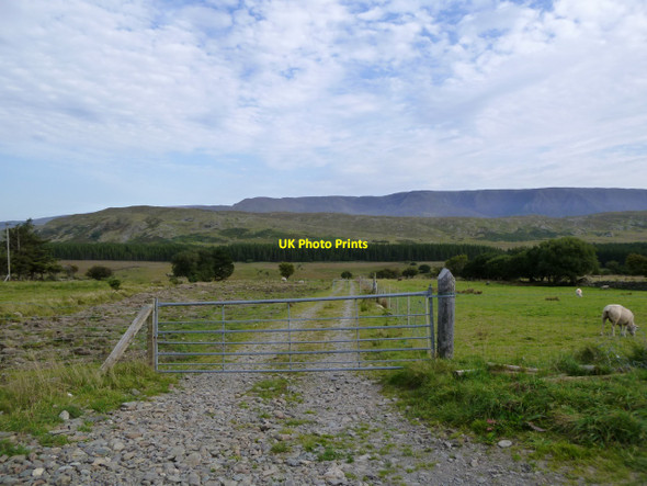 Photo 6"x4" Gated farm track south of Drummin Drummin\/L9371 c2010