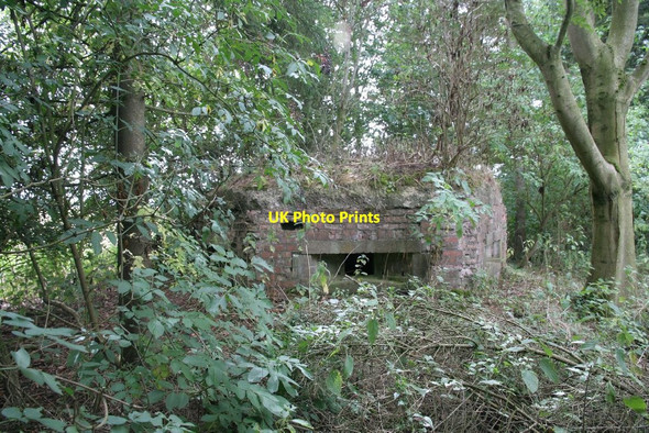 Photo 6"x4" Number four Four Points c2010