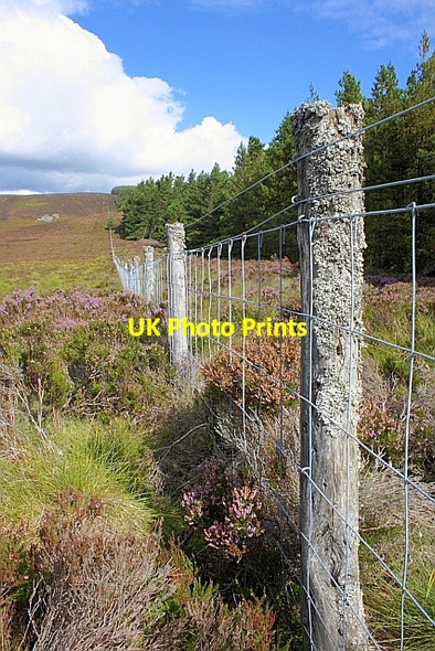 Photo 6"x4" Fence, Looking up Towards Crammond's Crag Great Tosson c2010