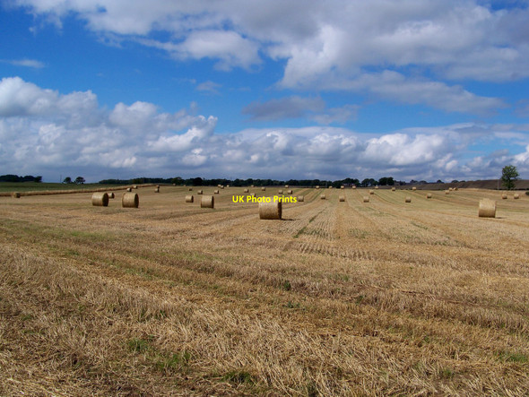 Photo 6"x4" Baled Wheat Field, Angelrow Farm Lambden c2010