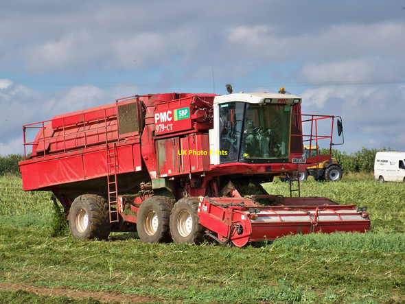 Photo 6"x4" Pea Harvesting Lambden c2010