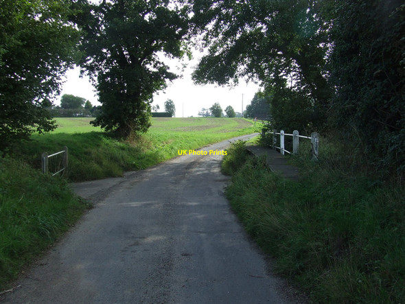 Photo 6"x4" Dried Up Ford Bacton\/TM0567 c2010
