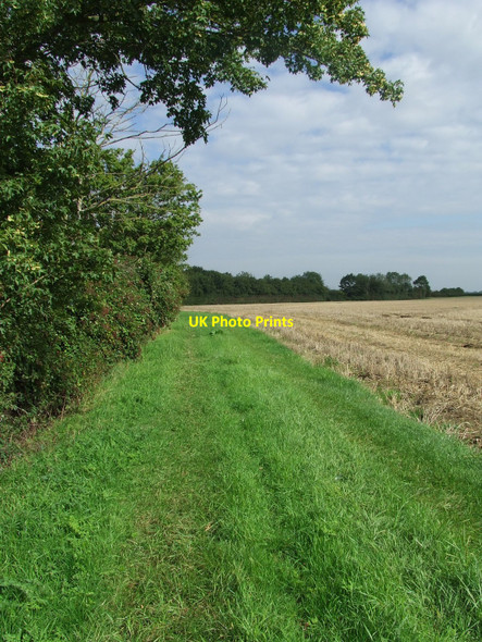 Photo 6"x4" Green Footpath Dandy Corner c2010