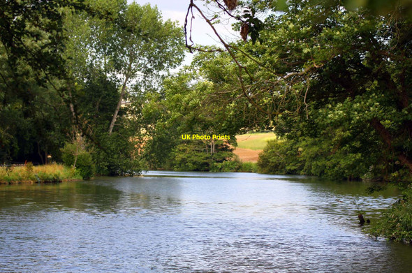 Photo 6"x4" The Thames by Nuneham Park Lower Radley c2010