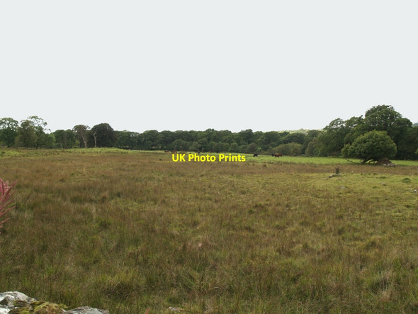Photo 6"x4" Rough pasture near Penkiln Burn Minnigaff c2010