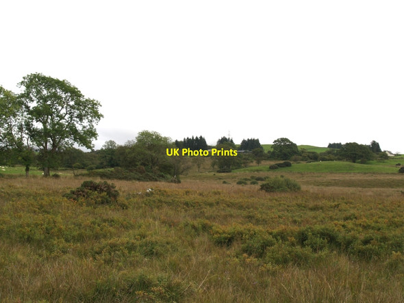 Photo 6"x4" Rough pasture near Risk Farm Minnigaff c2010