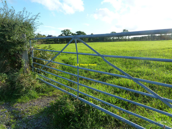 Photo 6"x4" Evening sunshine at Mynydd-bach, Shirenewton Mynydd-bach\/ST4894 c2010