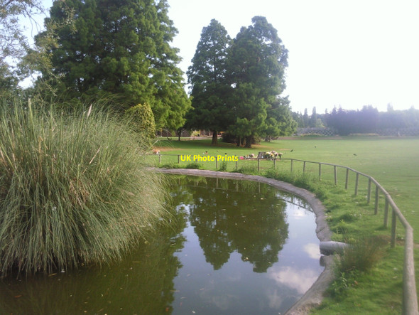 Photo 6"x4" Pond in Hither Green Cemetery Catford\/TQ3873 c2010
