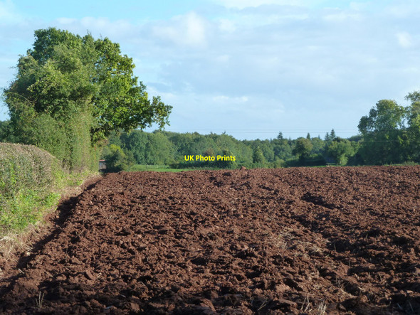 Photo 6"x4" Ploughed field near Rhewl Cottage, Mynydd-bach Mynydd-bach\/ST4894 c2010