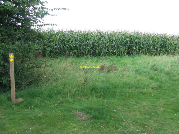 Photo 6"x4" Blocked Footpath Gipping c2010