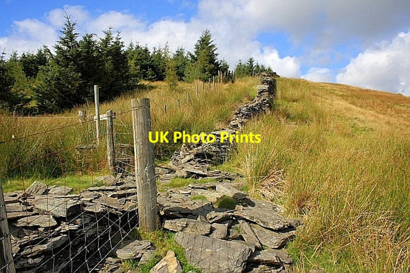 Photo 6"x4" Fence Junction, Capple Howe High Green\/NY4103 c2010