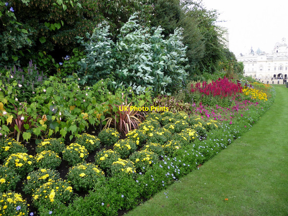 Photo 6"x4" Flowerbed, St James's Park, London SW1 Westminster c2010