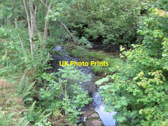 Photo 6"x4" Confluence of Mohope and Wellhope Burns Ouston\/NY7752 c2010