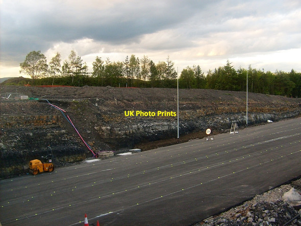 Photo 6"x4" New M80, Condorrat Blackwood\/NS7274 c2010