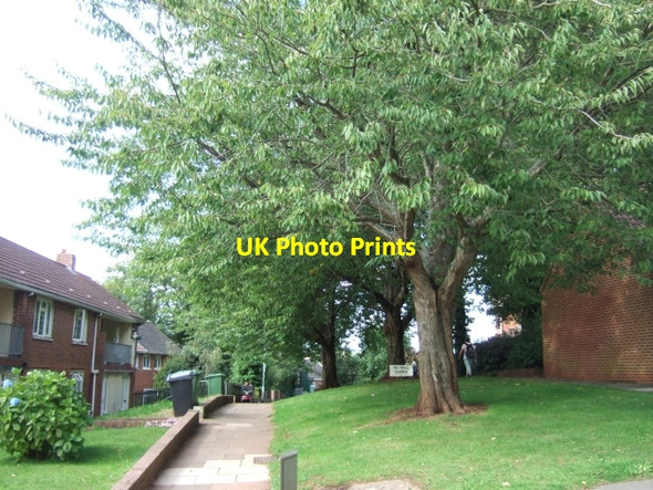 Photo 6"x4" Footpath leading north from Headland Crescent Monkerton c2010