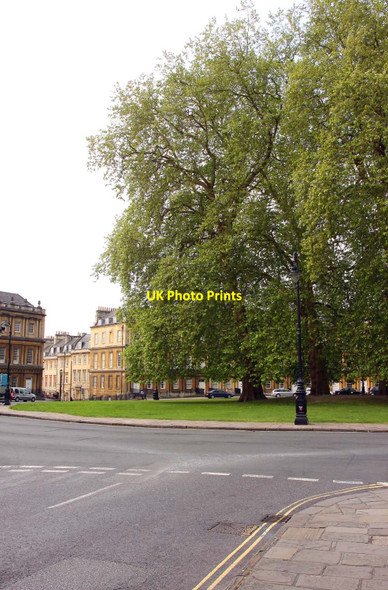 Photo 6"x4" Trees in The Circus Bath\/ST7464 c2010