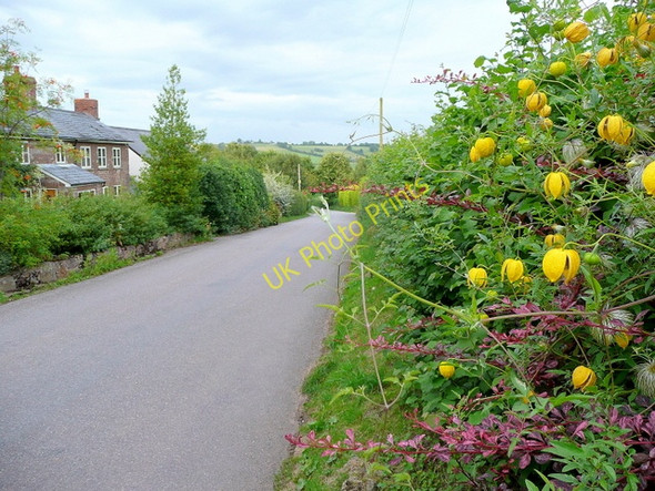Photo 6"x4" Linton Road, Bromsash Bromsash c2009