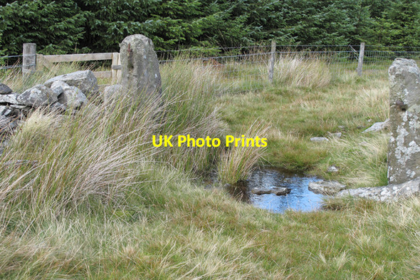 Photo 6"x4" Old gates post on footpath to Gisburn Common Fair Hill Coppy c2010