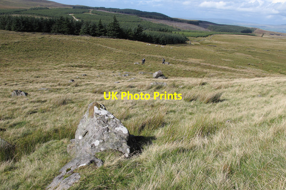 Photo 6"x4" Moorland north of Whelp Stone Crag Tosside c2010