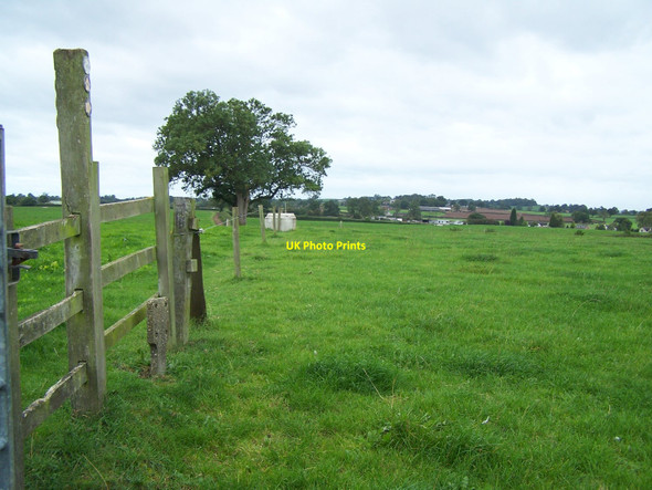 Photo 6"x4" Footpath To Marston Marston\/SJ9227 c2010