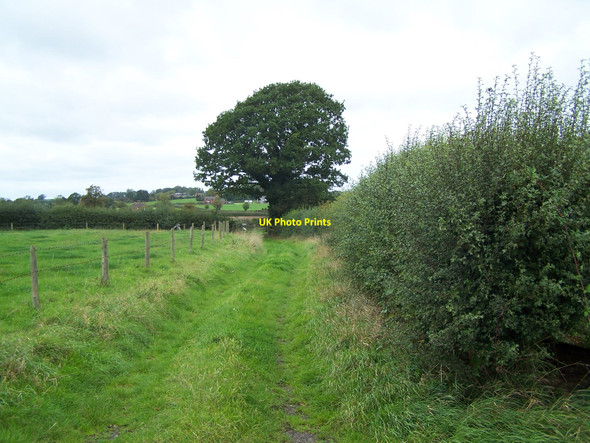 Photo 6"x4" Footpath To Marston Marston\/SJ9227 c2010 P1