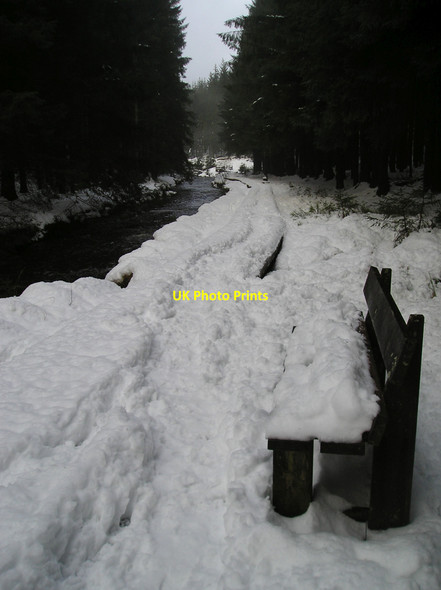Photo 6"x4" Boardwalk under snow Tynyrwtra\/SN8885 c2007