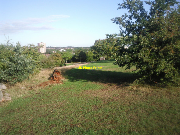 Photo 6"x4" Mountsfield Park Catford\/TQ3873 c2010 P1